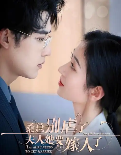 职场女王修炼记